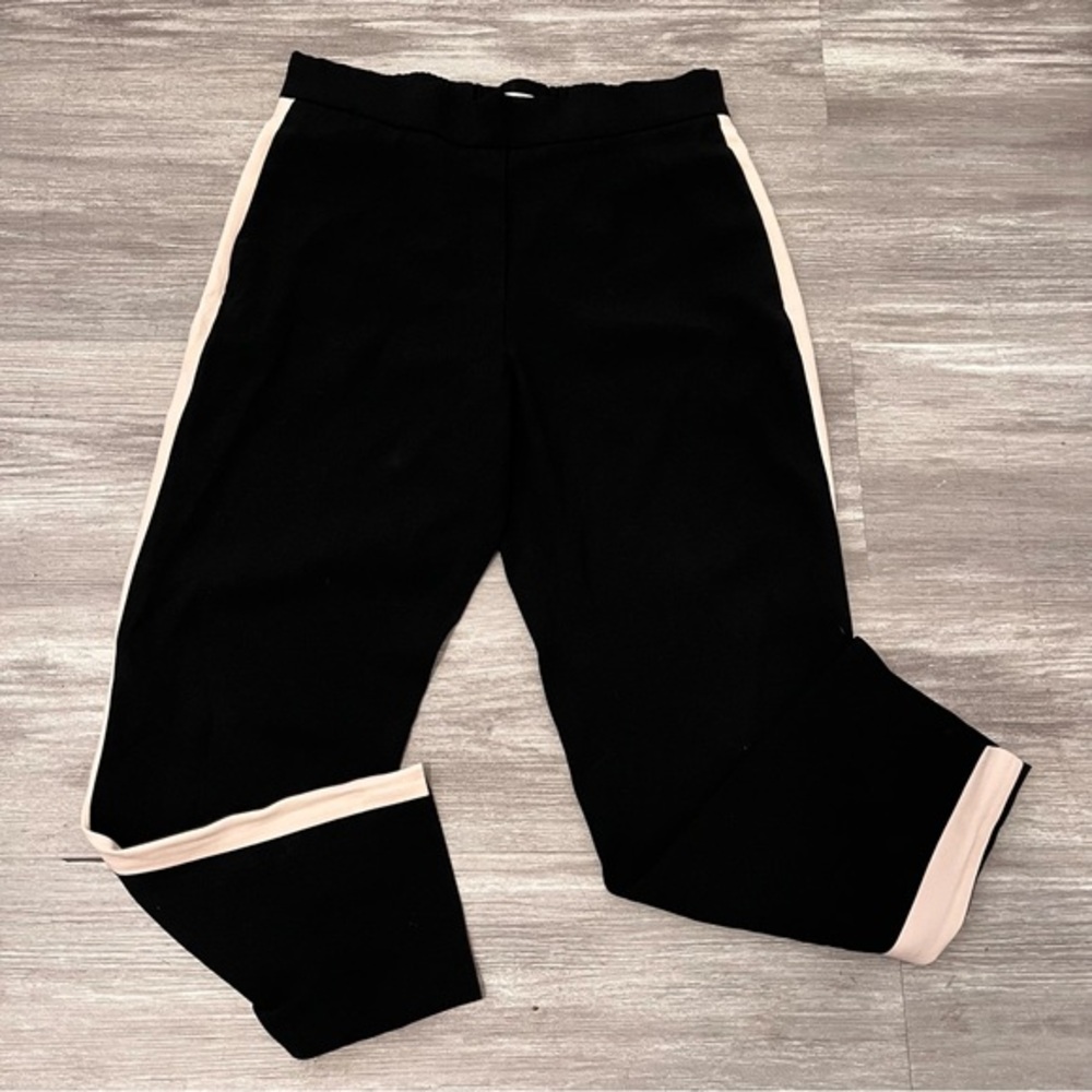 Aritzia Babaton 2 Cohen II Pleated‎ Pants Elastic Waistband Black Side Stripe